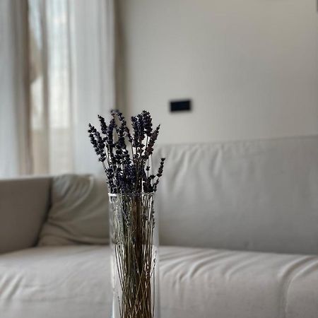 Roemer Apartment Und Zimmer Turkheim Buitenkant foto